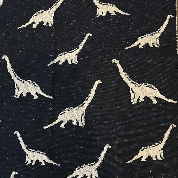 NWT dinosaur blanket